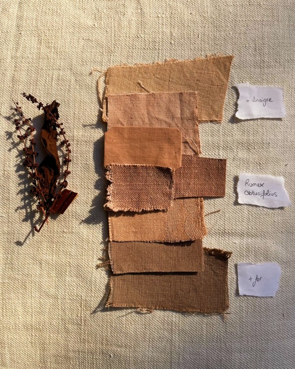 atelier-teinture-vegetale-javanne-echantillon-matieres.jpg